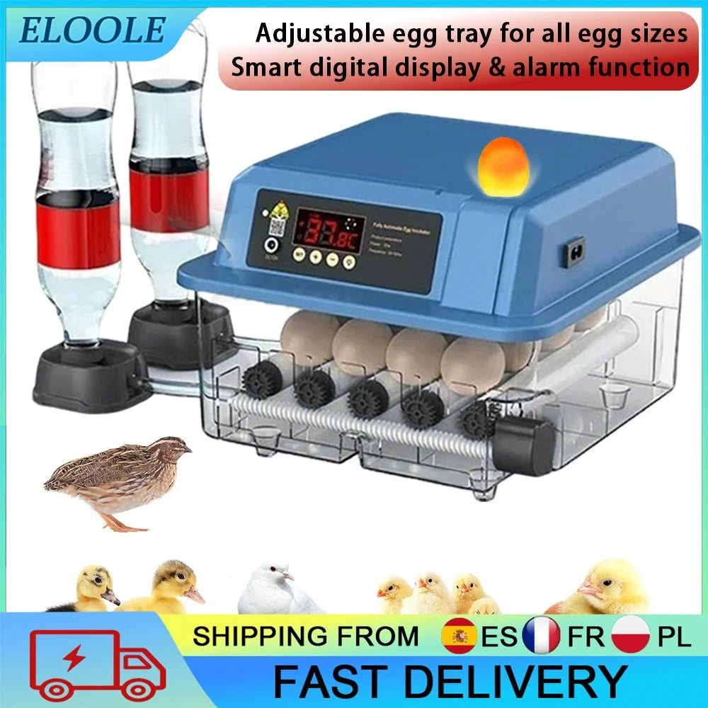 12/15/24 Eggs Egg Incubator Fully Automatic Intelligent Temperature Control Water Replenishment For Science Education  Dual Power Supply Household Incubator