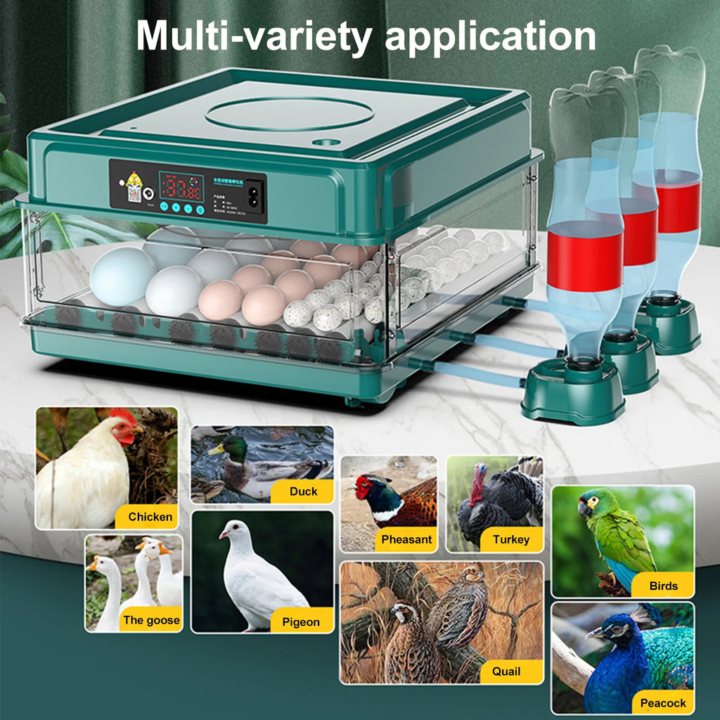 Automatic Incubator for Hatching Eggs, Egg Incubator for 9/15/30/48 Eggs Constant Temperature Design, Adjustable Temperature